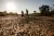 Two woman walk home through a dry riverbed Gwembe Valley, Zambia